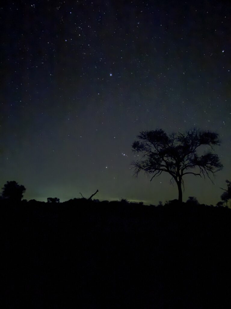 Africa on Foot night sky